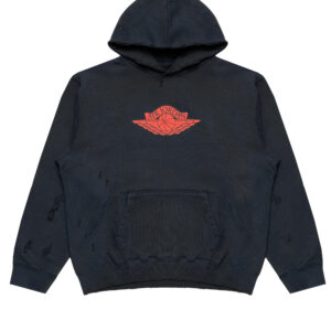 Air Jordan RARE AIR FLEECE HOODIE